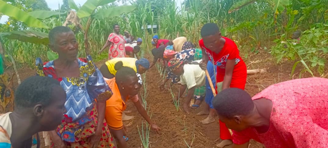 Women Initiatives in Poverty Eradication (WipeUg) tweet media