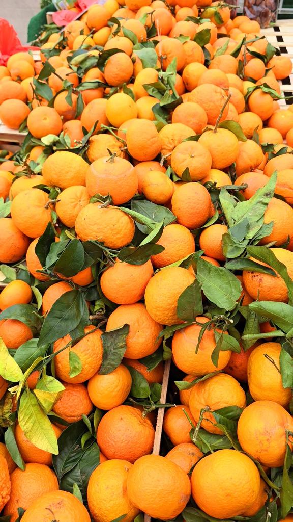 CATHERINE CONSTANTINIDES (@changeagentsa) on Twitter photo We are in desperate need of 300 bags of oranges for a community programme. Please DM me if you're able to assist or support. Kindly share this post because perhaps the person we need is within your network.
Thank you fam 🍊🙏🏽 <a href="/MOL_Foundation/">TheMerchantsOfLIGHT</a> We are in desperate need of 300 bags of oranges for a community programme. Please DM me if you're able to assist or support. Kindly share this post because perhaps the person we need is within your network.
Thank you fam 🍊🙏🏽 <a href="/MOL_Foundation/">TheMerchantsOfLIGHT</a>