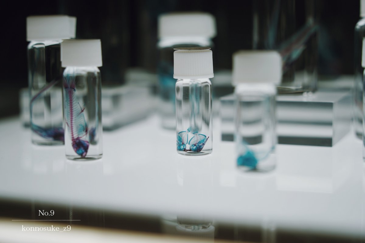 ▷ What kind of day was it today?  …