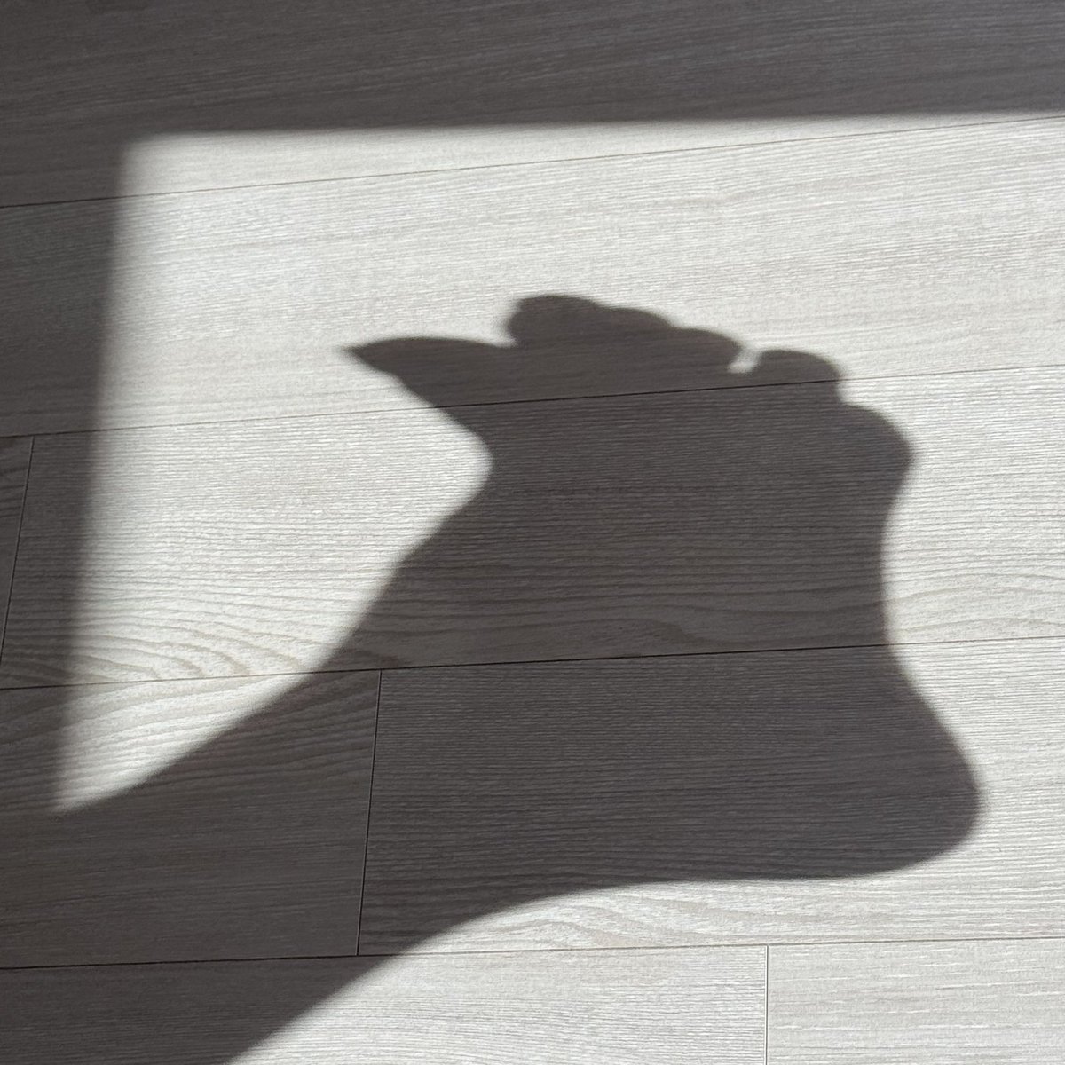 발영통 5분2만 10분3.5만