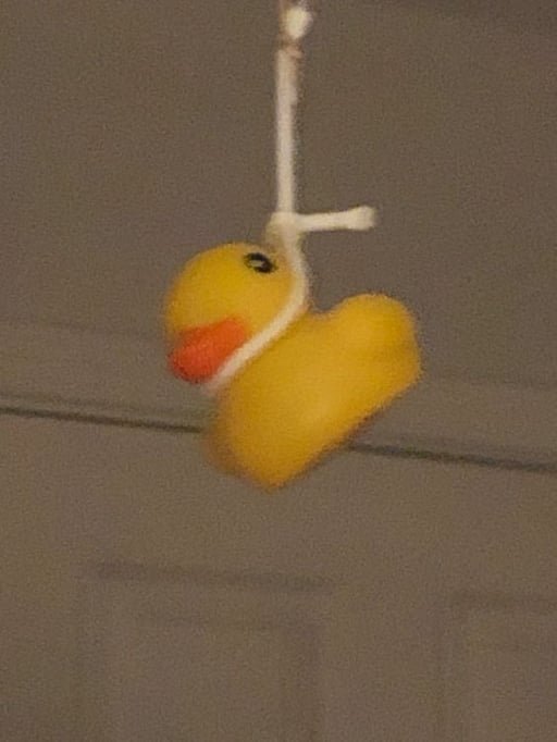 Crypto Thor 𓃵 tweet media