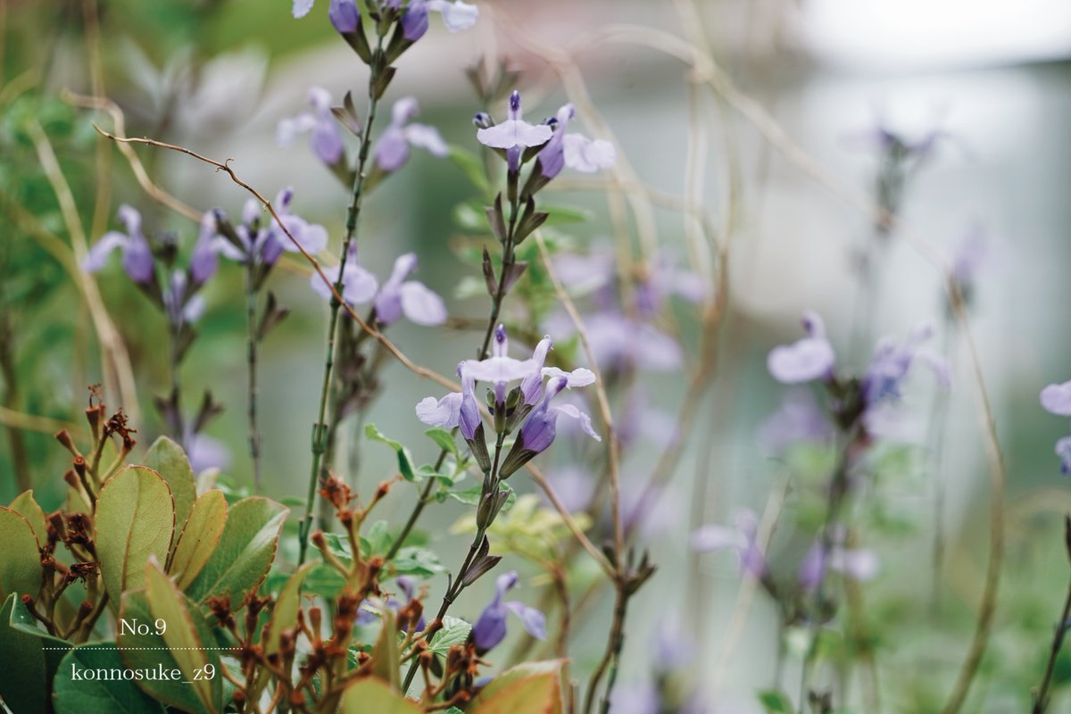 ▷ You tried hard today too.  …