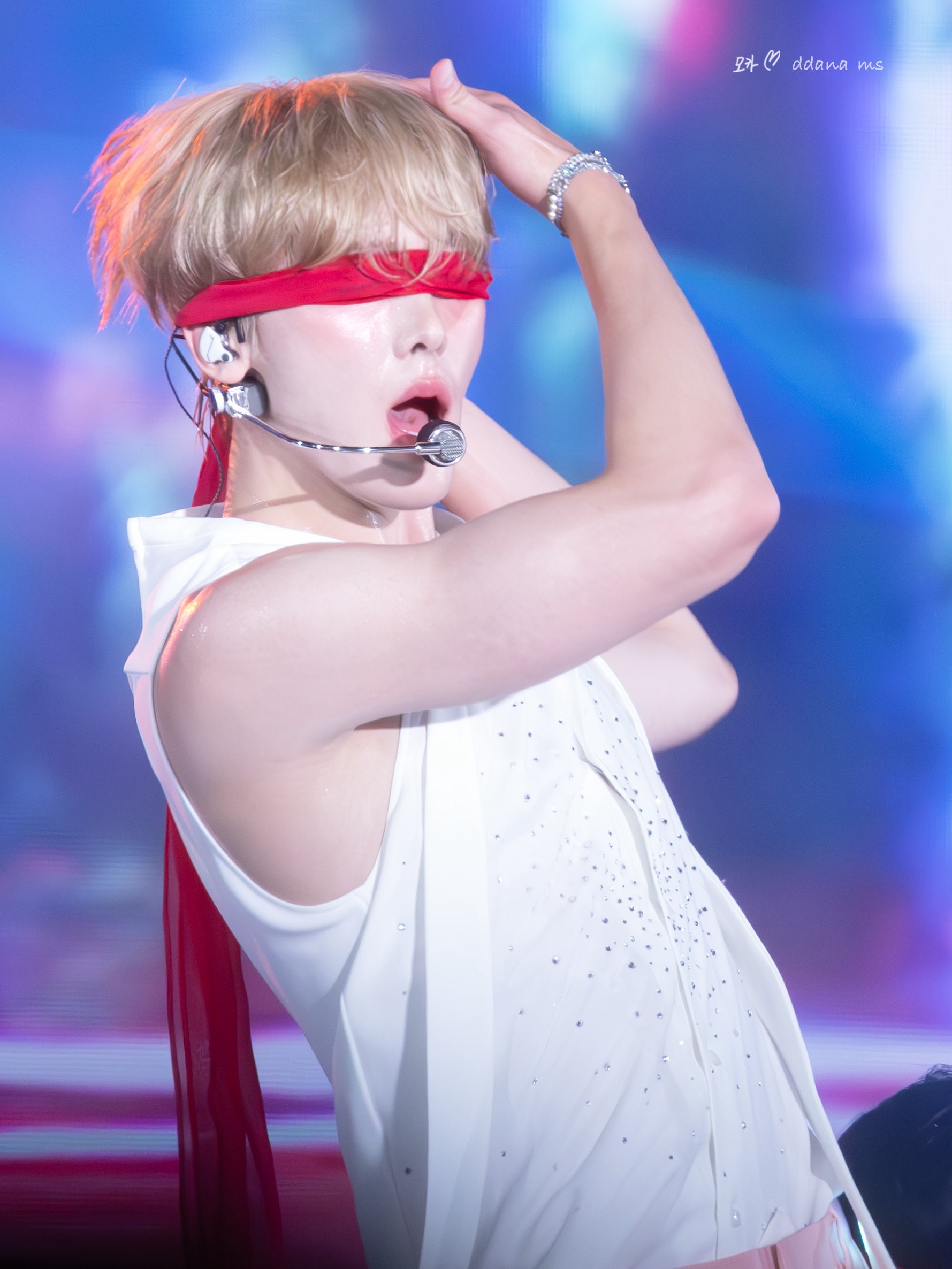 Stargraphy_Japan - Search / X