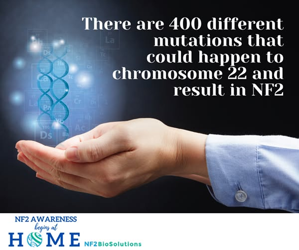 nf2biosolution1's tweet image. We are starting midweek knowledge about NF2 today, and, how it can affect us.
Did you know there were so many mutations in fact there are probably many more? There is so much variability with NF2, we are all different and we are all affected differently.
#endNF2 #NF2awareness