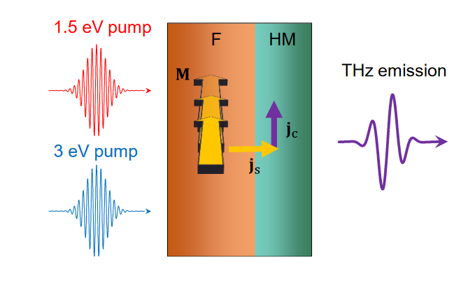 Assume you take a magnet with a complex electronic band structure. Does the photon energy matter when triggering terahertz photocurrents? It is surprisingly insensitive. New preprint:  arxiv.org/abs/2507.00977