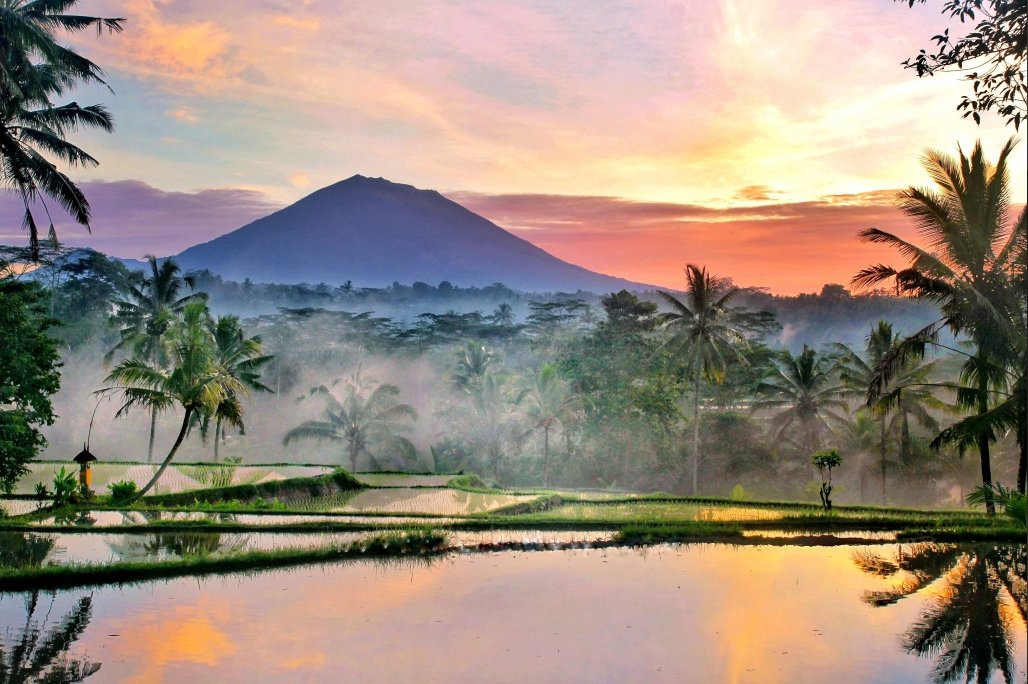 AcademyPolkadot's tweet image. [LAST CALL FOR BALI] 🌴 be me, it’s 2026

&amp;gt; still explaining to my dev friends why I’m obsessed with the @Polkadot Hub &amp;amp; JAM
&amp;gt; building the dApp I started at PBA Campus Bali
&amp;gt; meeting up tonight with friends I made there in Nusa Dua
&amp;gt; active and thriving in the PBA alumni…