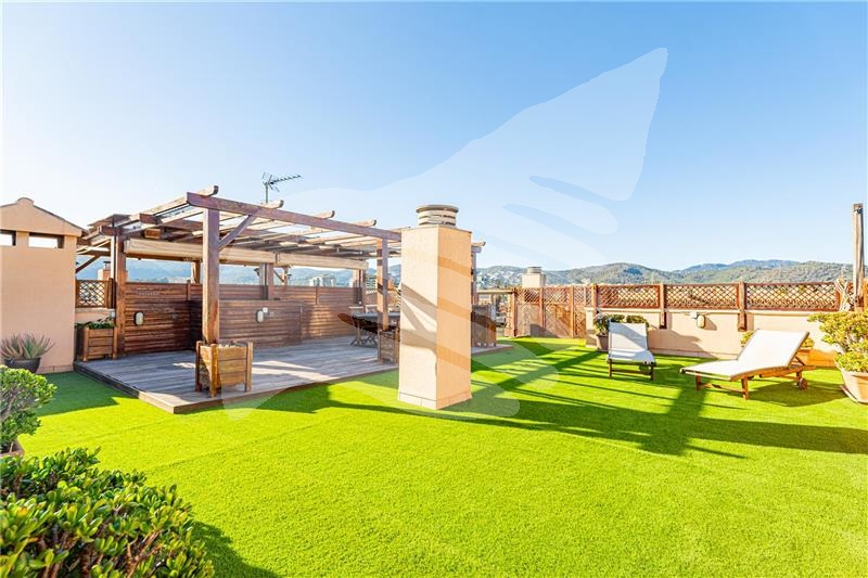 BalearInvest tweet picture