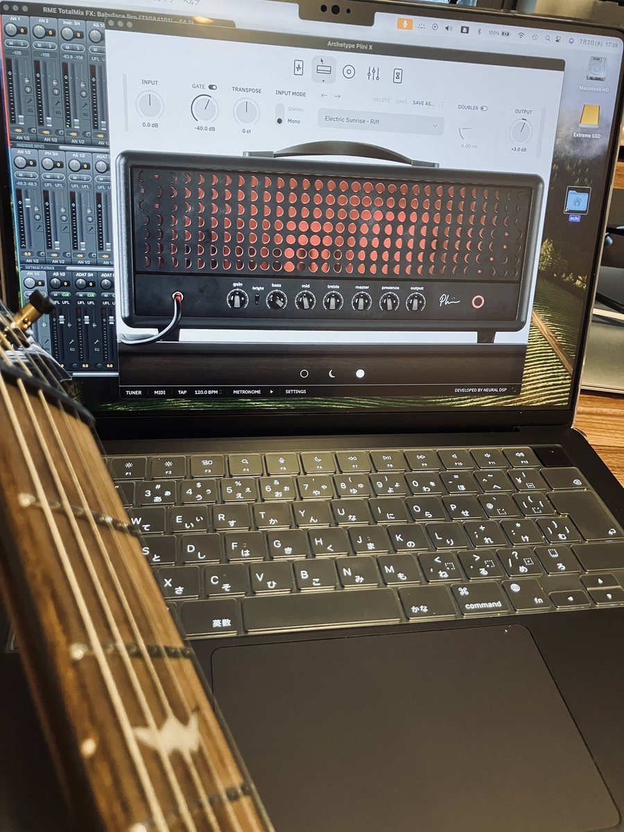 大変今更ではあるが、Neural DSPに非常に感動している…。ええ音や…。
間違いなく買った方がいいやつだな。特にPlini。あとフェンダー系が欲しいのでMateusとか？