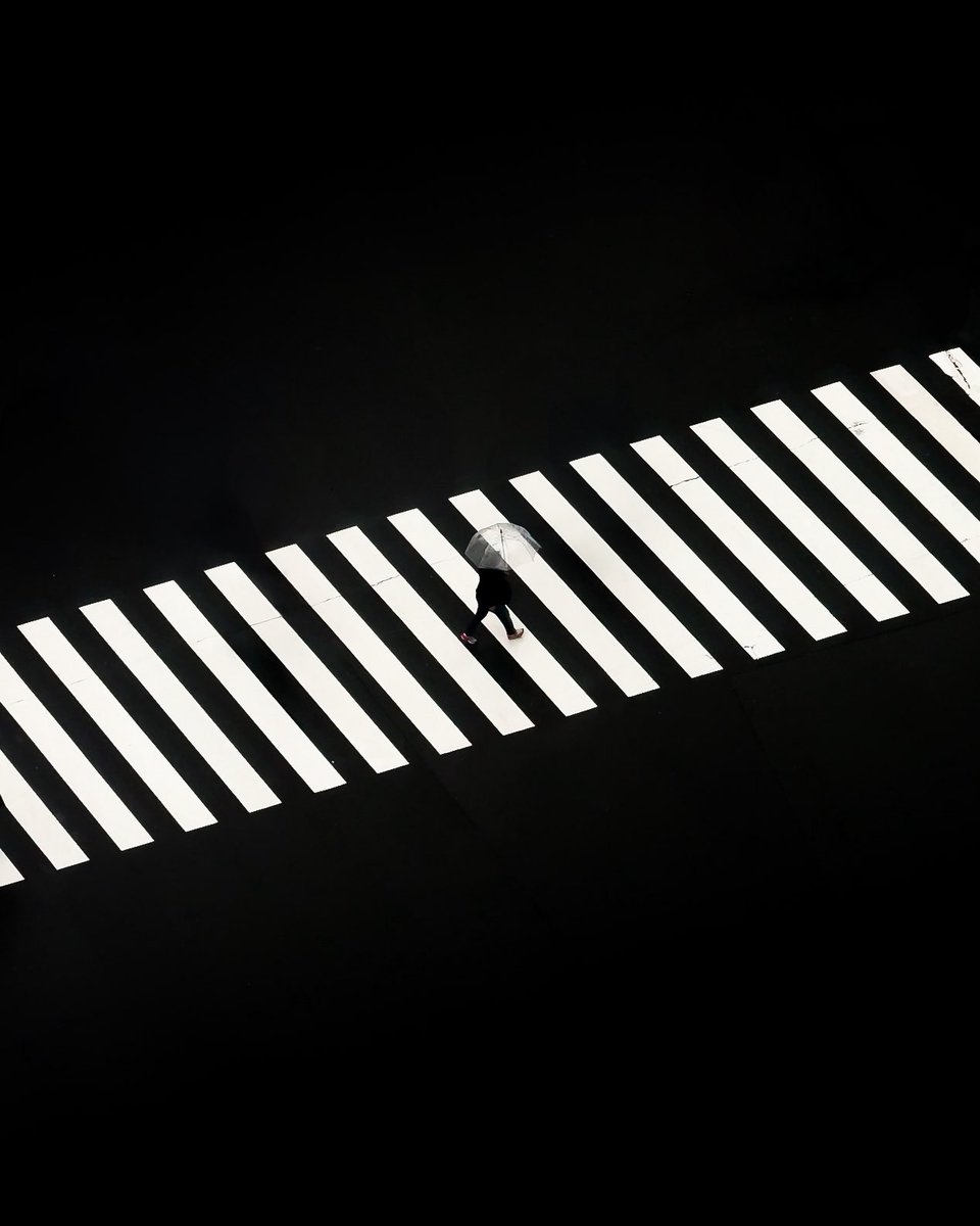 GM! 

Love photography?
“Rainwalker” edition of 10. At 0.2 sol only 🥳

Grab yours. Link at comment 🙏🏻