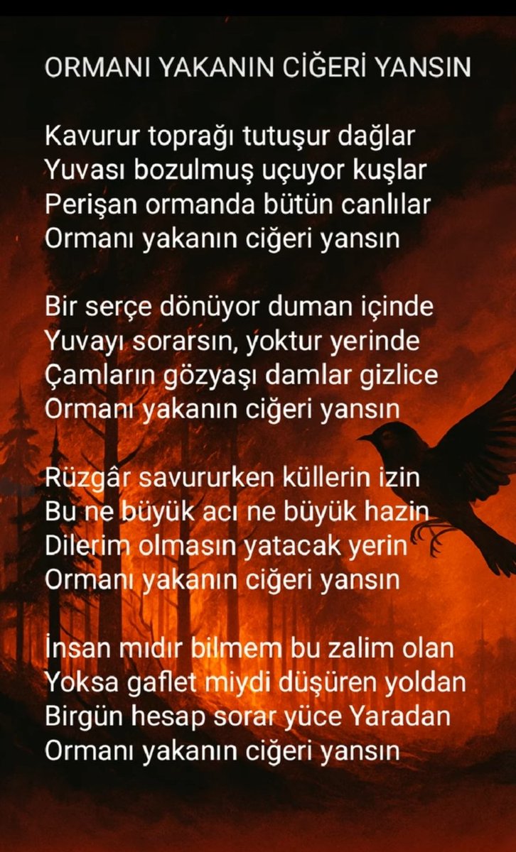 Ormanları Yakanın Ciğeri Yansın...