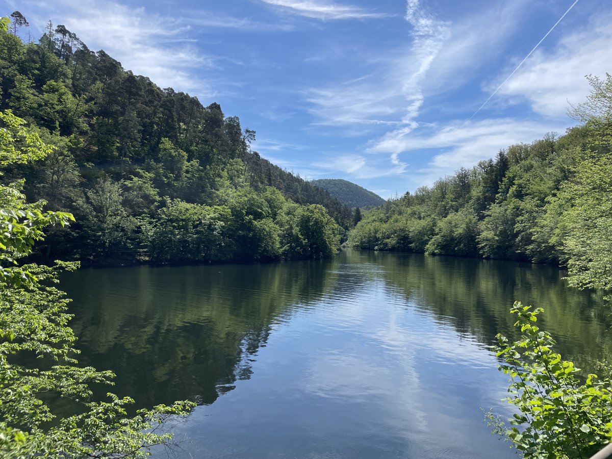 waldeckedersee's tweet photo. 💧☀️ Heiße Tage = Wasser ist kostbar!
Bitte spart Wasser, wo es geht:
🚿 Kurz duschen 
🌿 Garten abends oder früh morgens gießen
🚰 Trinkwasser nicht verschwenden
Jeder Tropfen zählt – für unsere Umwelt &amp; unsere Zukunft! 💙🌍
#Wassersparen #Hitze #Klimaschutz https://t.co/XJZIExTJM4