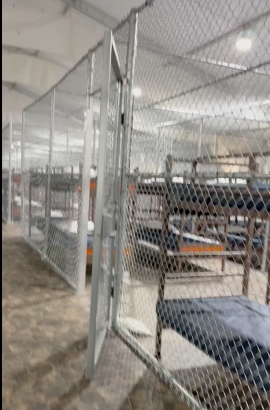 They erected tents in the middle of the Everglades with animal cages inside to create an enormous concentration camp not dissimilar to Auschwitz.

MAGA are salivating about the crocs eating people. It is monstrous.