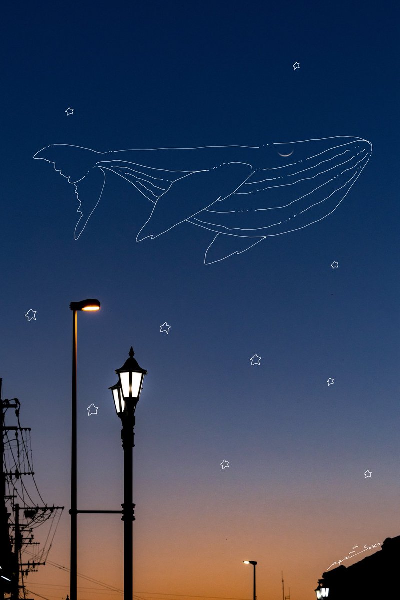 月が眠ったような夜だった