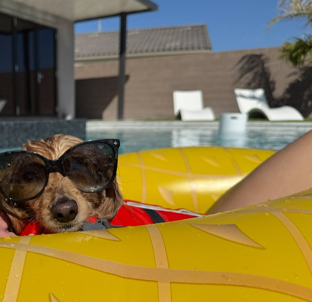 Had to post a distraction to normal life lately 🤍 swim lessons with my ween 🫶🏼