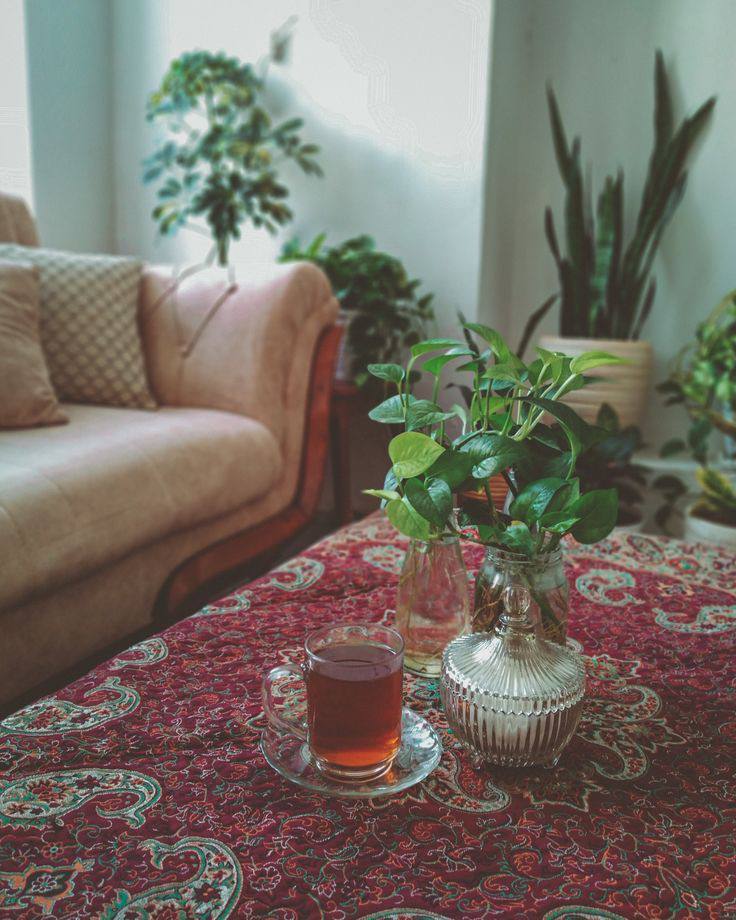 و أطيبُ الشّاي ما تأتيك تحملُهُ
 بنتُ الكرام على مرّ السّويعاتِ 

تقول يا نور عيني قمْ لنشربها
 شاياً من الحبّ تحلو بالموداتِ

اللهم هذي اللحظات.🤲💞💕
#مساء_الــود_والـــورد
#مساء_الخير_والسعاده
#وقت_الشاي 
#زايـد_مـحمد