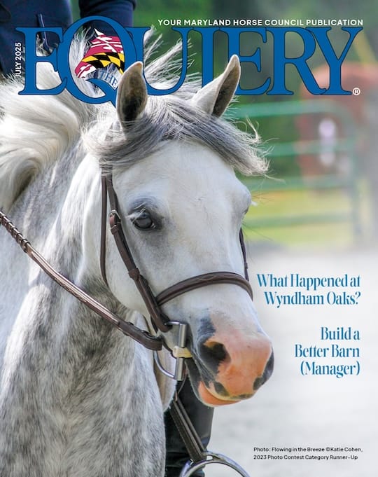 The July issue is here! Pick up a copy at your favorite distributor equiery.com/distributors/ and settle in for the long weekend!