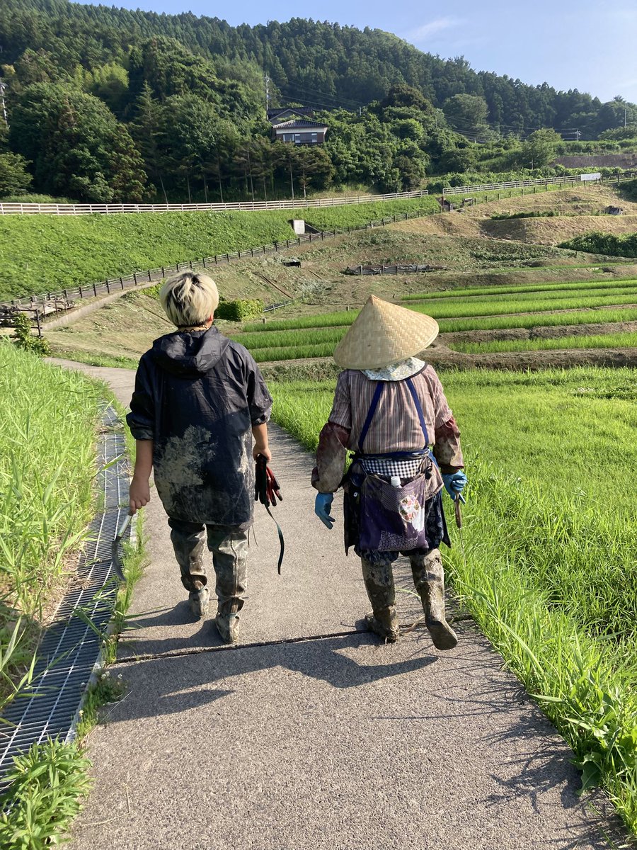 noto_senmaida's tweet image. 今日は女性陣は草取り!
若いパワー溢れる助っ人が2人、手伝いに来てくれました🌱🌱🌱
#令和6年能登半島地震 #能登 #輪島 #白米千枚田 #愛耕会 #能登豪雨 #草取り