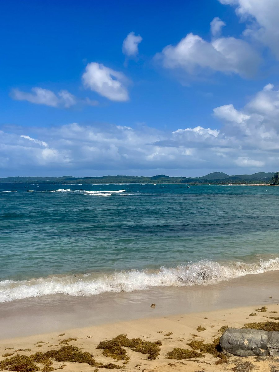 gm from Puerto Rico! ☀️