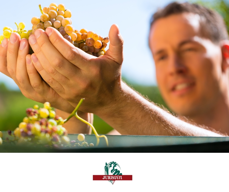 🧐 L’attribution préférentielle de l’#exploitation #agricole à un successible non exploitant ? Oui, c'est possible sous certaines conditions prévues à l’article 831-1 du Code Civil.
swll.to/pCauw9 
<a href="/jurisvin/">JURISVIN</a>
