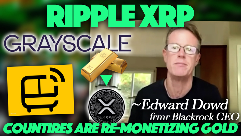 WorkingMoneyCH's tweet photo. Companies like @Grayscale & #Webus are preparing for institutional demand. And institutions don't play speculative games. 😉 🚀
#Ripple #XRP #XRPcommunity
▶️ https://t.co/HxEwHAFVVw https://t.co/AYS0xwwOip