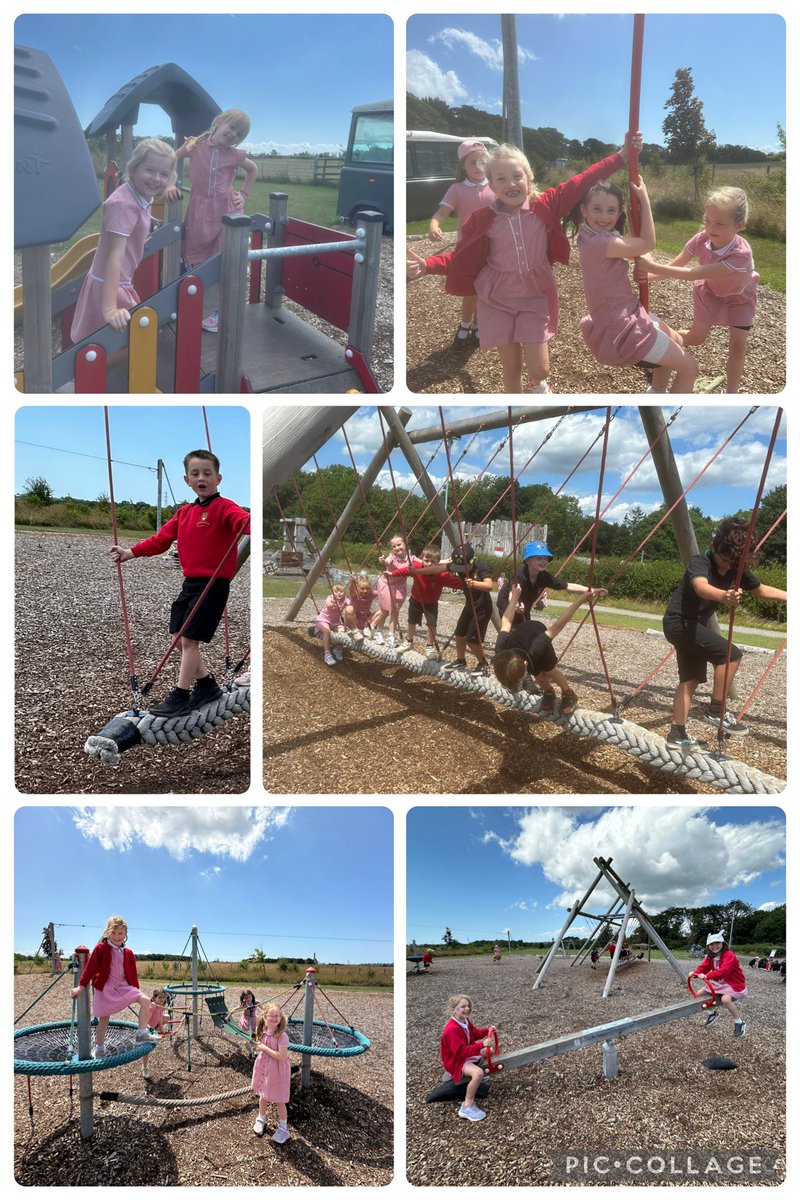 Cnocell y Coed tweet media