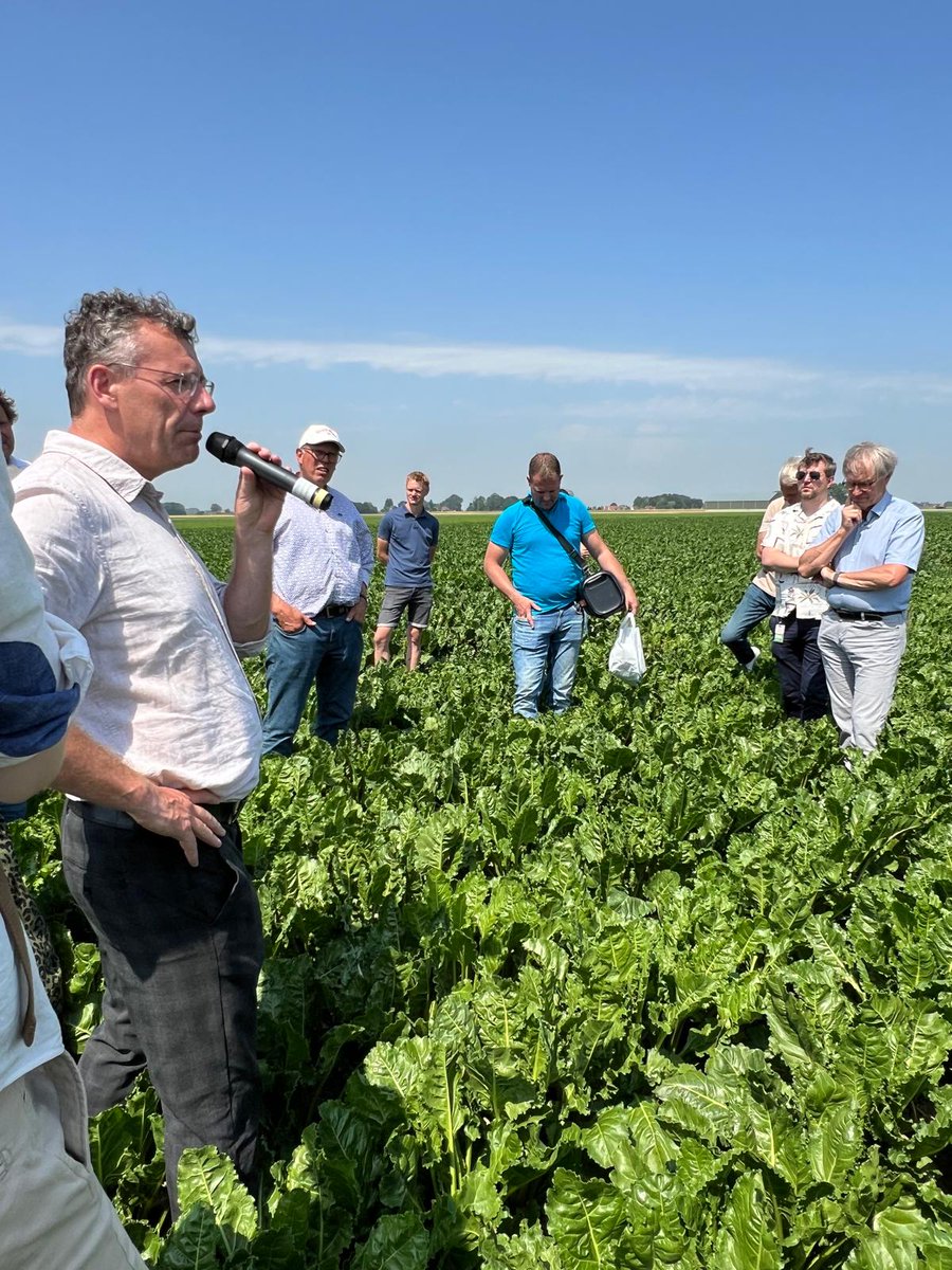 Hans van der Werf tweet media