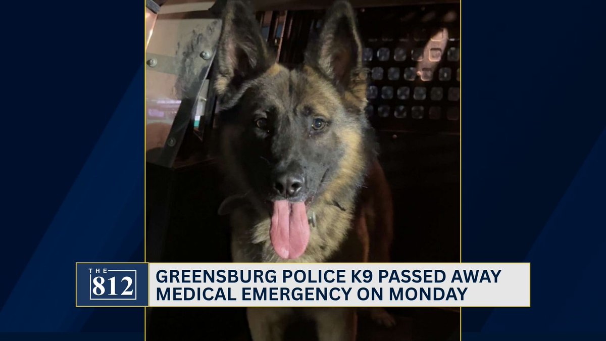 A current Greensburg K9 who previously served for Jennings County has passed away after a medical emergency.

Read here: 812noww.com/post/greensbur…