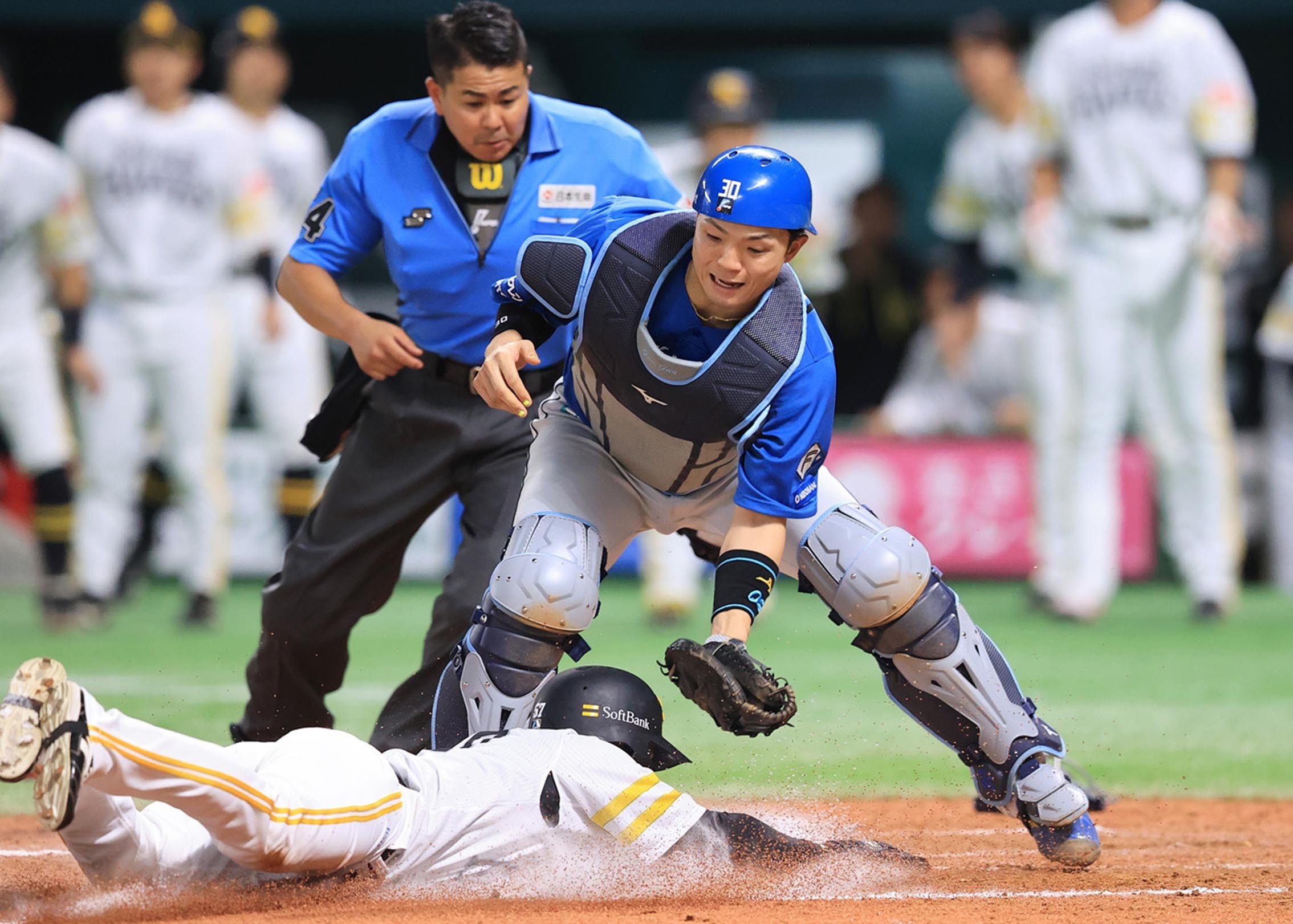郡司裕也 等身大タペストリー スーツコレクション 記念グッズ