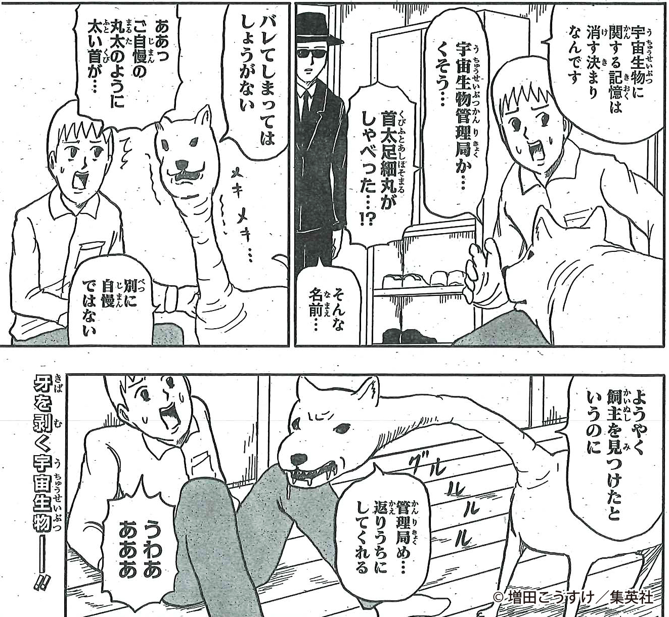 ギャグマンガ日和 公式 (@gagmanga_biyori) / X
