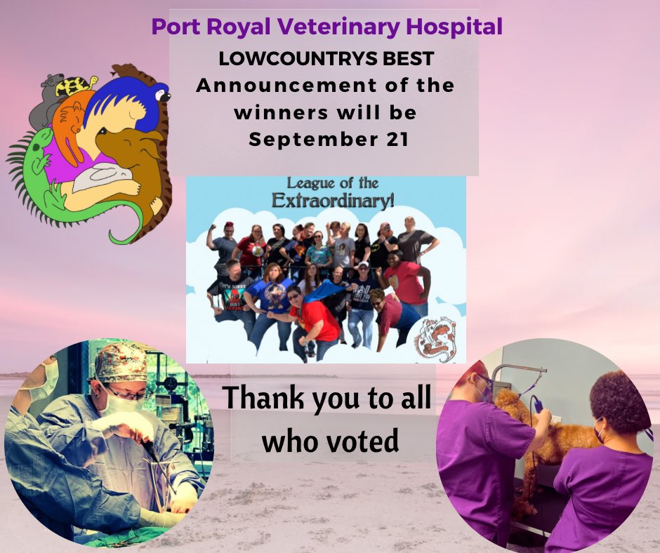 PortRoyalVet's tweet photo. https://t.co/LmNVCPtvmb