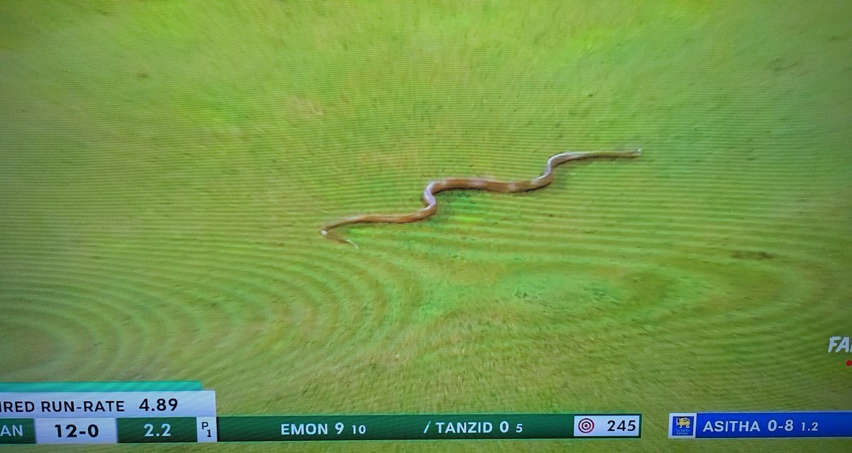 gopackjo tweet media