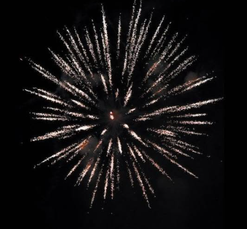 gentle reminder re: 🇺🇸Independence Day festivities, please remember that our furry 🐾family members are not the only ones who may be triggered by fireworks.  (Photo by Bryan Lopez on Unsplash)