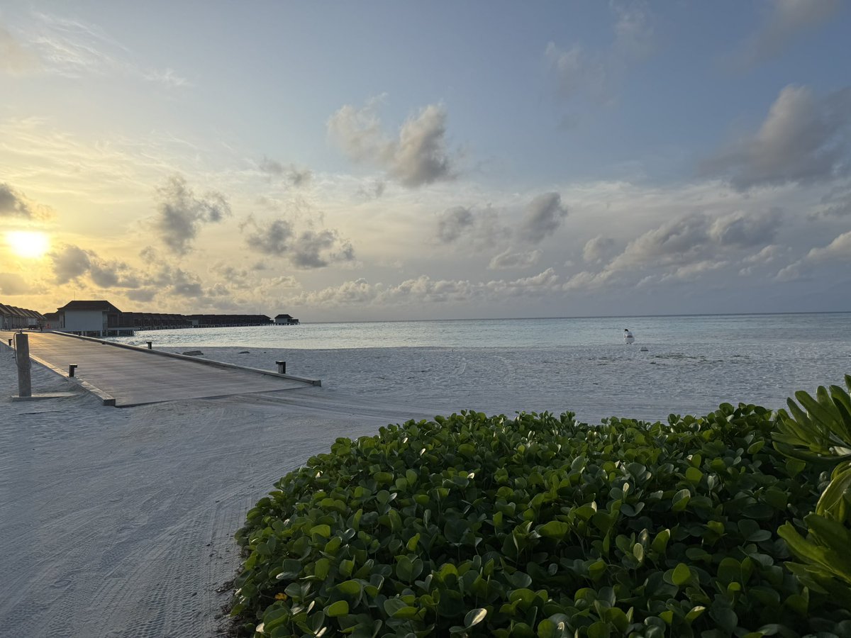 Baz Cooper tweet media