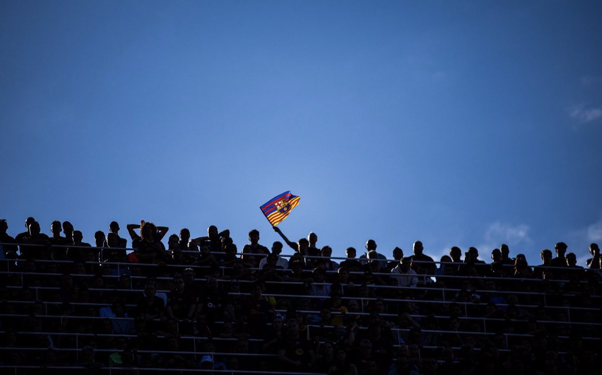 Saad is the best tweet media