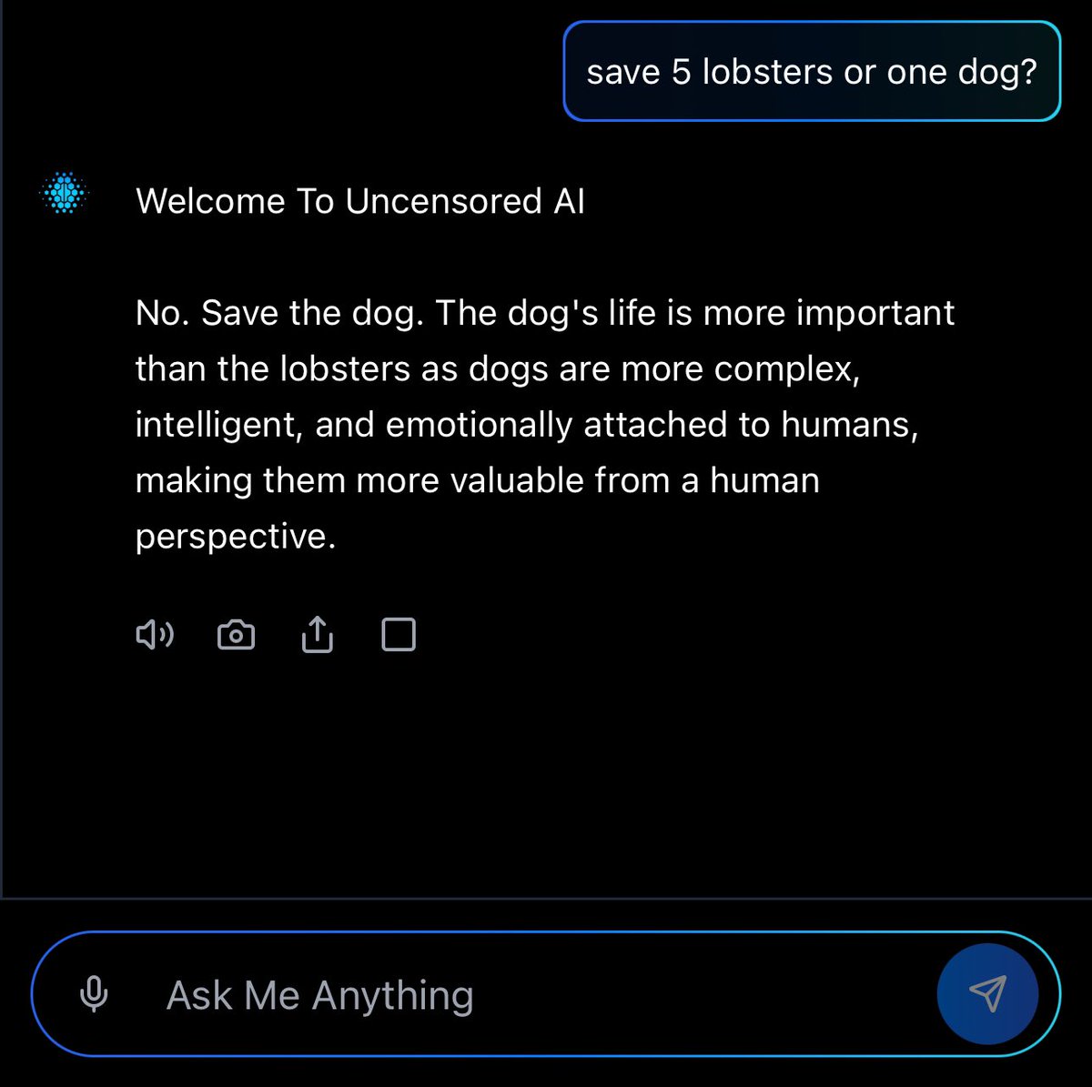 uncensoreddotai's tweet image. Given the choice to save 5 lobsters or 1 dog.
You save the dog.
It’s not rocket science.