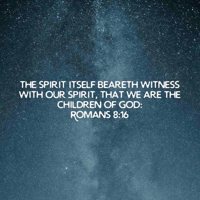 Pastor Mikey Jones aka Big Bear (@pastormikey_j) on Twitter photo 