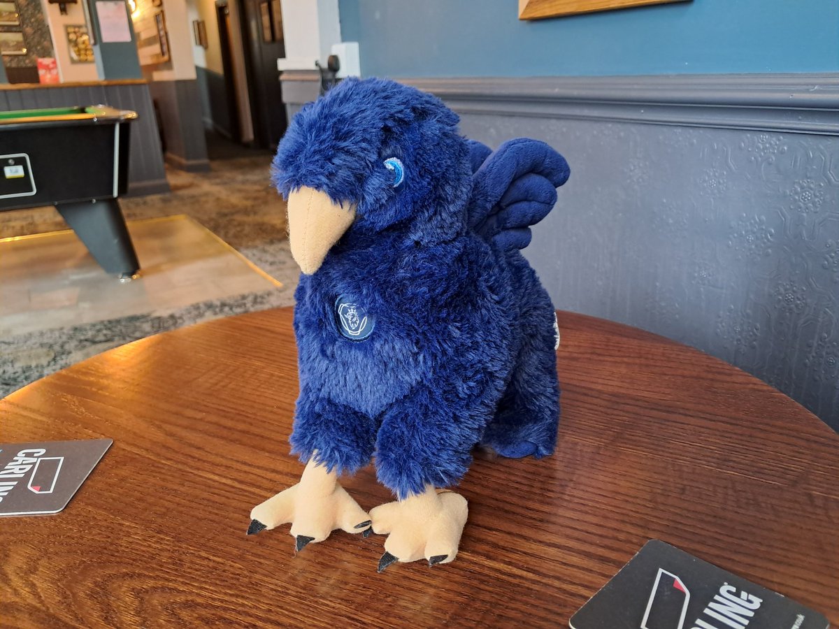 Cfluffkins 🐻 tweet media