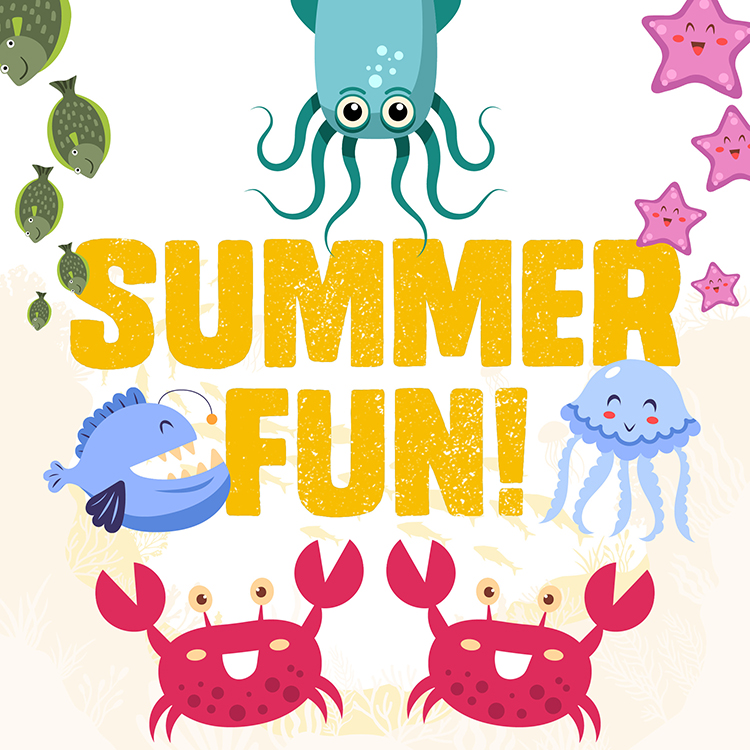 Dive in to our fun-filled programme of summer activities.
From rockpool rambles and live science shows to guided wildlife boat trips and social beach cleans 🦀🌊.

Explore Scotland's seas with us this summer↙️
seabird.org/events

#SchoolsOut #SummerHolidays