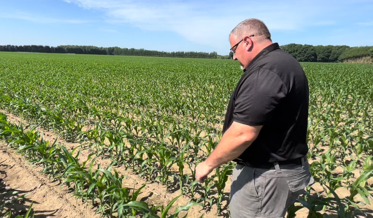 Bernard Tobin (@agbern) on Twitter photo It's July and that means Tar Spot scouting for corn growers. Check out tips from <a href="/Ken_Currah/">Ken Currah, CCA-On</a> on how to tackle the disease on #Corn School <a href="/realagriculture/">RealAgriculture</a> <a href="/PRIDESeeds/">PRIDE Seeds</a> <a href="/BASFAgSolutions/">BASF Canada Agricultural Solutions</a> tinyurl.com/m3cc6d65 It's July and that means Tar Spot scouting for corn growers. Check out tips from <a href="/Ken_Currah/">Ken Currah, CCA-On</a> on how to tackle the disease on #Corn School <a href="/realagriculture/">RealAgriculture</a> <a href="/PRIDESeeds/">PRIDE Seeds</a> <a href="/BASFAgSolutions/">BASF Canada Agricultural Solutions</a> tinyurl.com/m3cc6d65
