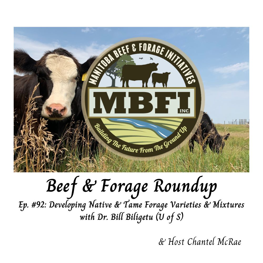 Manitoba Beef & Forage Initiatives (@mbbeefandforage) on Twitter photo New Episode!
Today we are talking with Dr. Bill Biligetu from the University of Saskatchewan about his work developing native and tame forage varieties and mixtures.
Subscribe today! Available wherever you listen to podcasts.
<a href="/MBGovAg/">Manitoba Agriculture</a> <a href="/DUCmanitoba/">Ducks Unlimited MB</a> <a href="/ManitobaBeef/">Manitoba Beef Producers</a> New Episode!
Today we are talking with Dr. Bill Biligetu from the University of Saskatchewan about his work developing native and tame forage varieties and mixtures.
Subscribe today! Available wherever you listen to podcasts.
<a href="/MBGovAg/">Manitoba Agriculture</a> <a href="/DUCmanitoba/">Ducks Unlimited MB</a> <a href="/ManitobaBeef/">Manitoba Beef Producers</a>