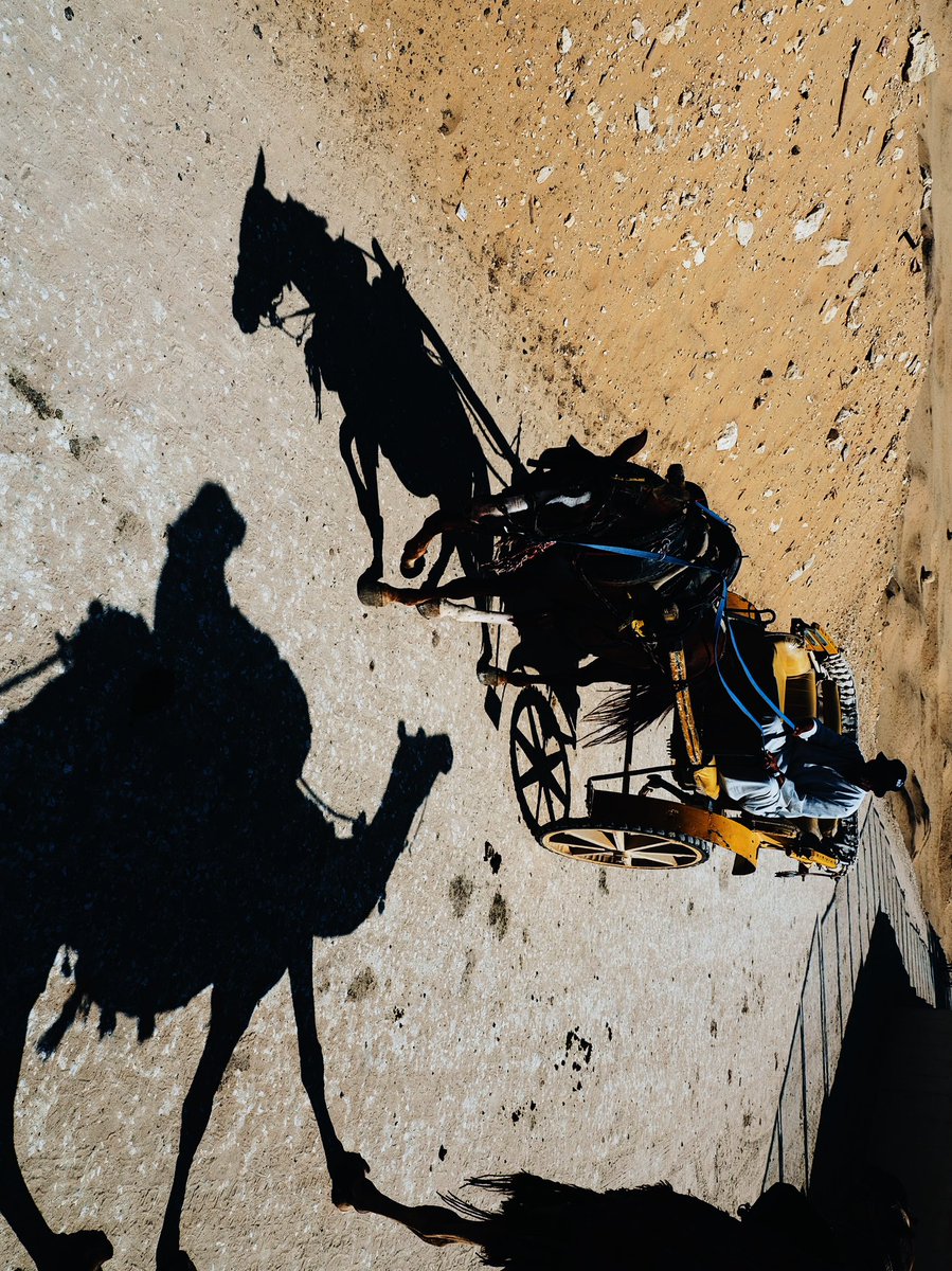 Natsuho Yamanaka tweet media