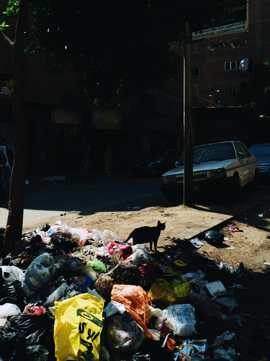 Natsuho Yamanaka tweet media