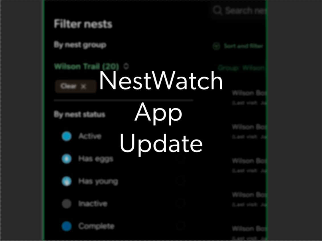 Now, you can create and manage nest groups in the NestWatch app to keep your nest list organized. Any nest groups you have created on the website will sync to your device. You can also filter your nests by group and status. Thanks to NestWatchers for all the feedback!