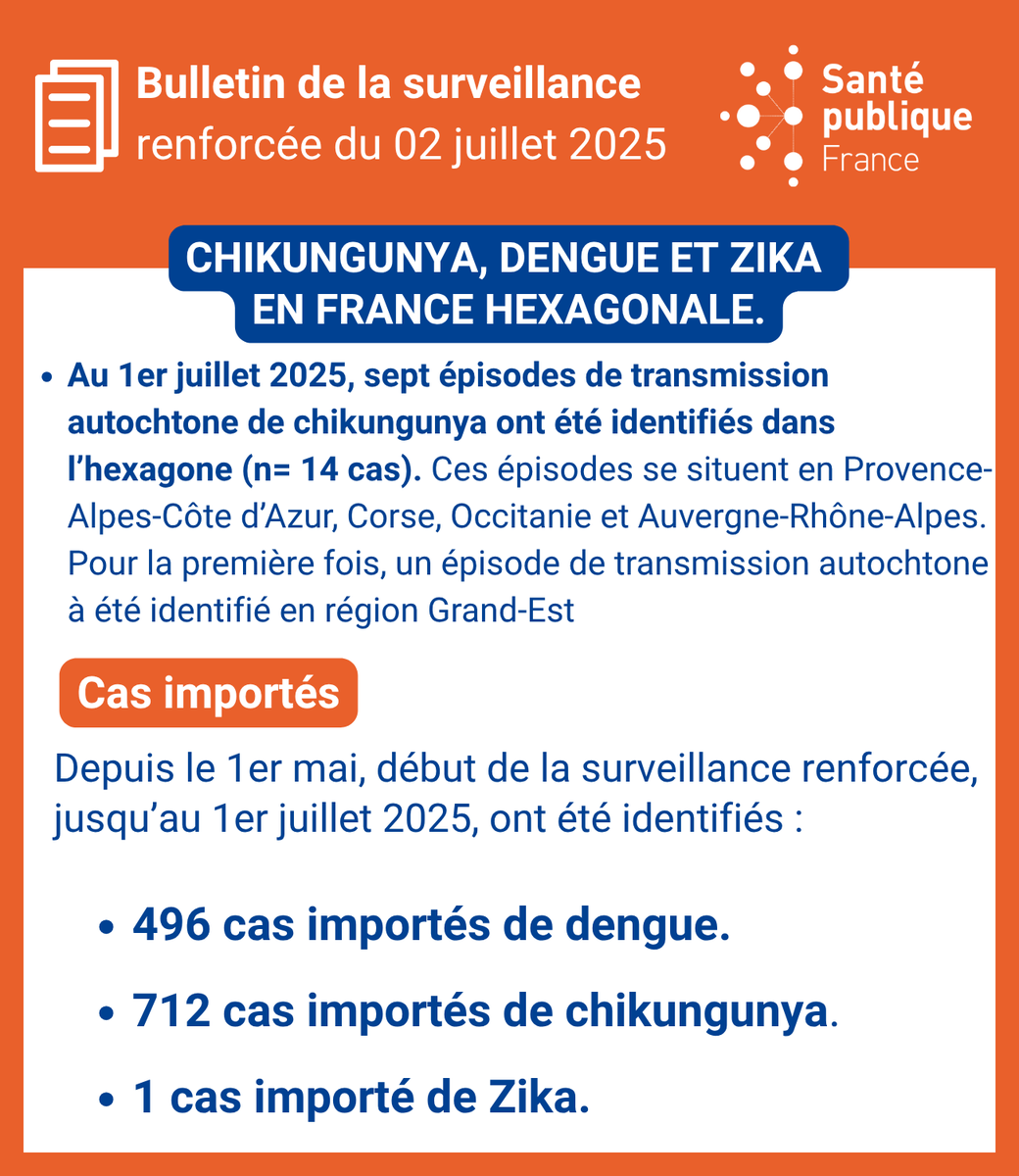 🦟#Surveillance renforcée des #arboviroses en France hexagonale

➡14 cas autochtones identifiés dans l'hexagone, dont pour la première fois, en région Grand-Est

Bulletin du 02 juillet 2025 🔎 urlr.me/ChdUrR
#Chikungunya #Zika #Dengue