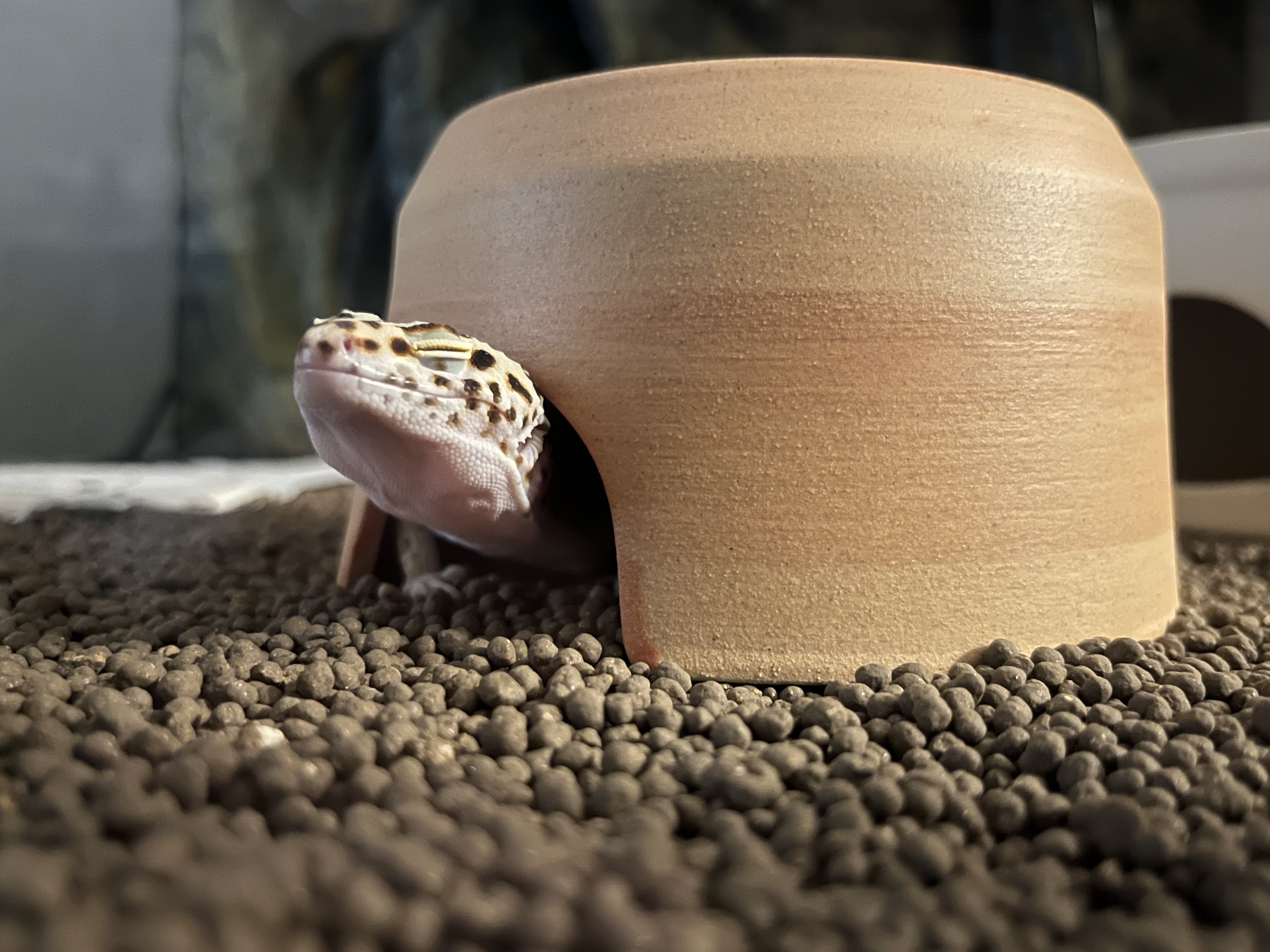 そらまる - Search / X