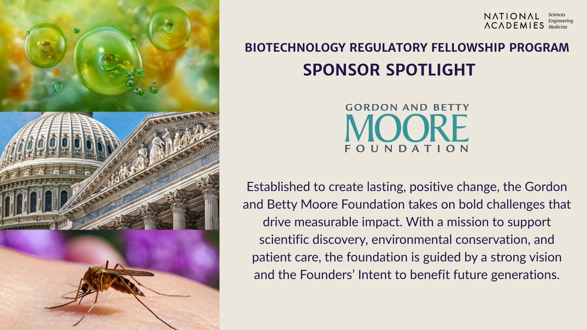 NASEM_BioRegFS's tweet image. With support from the Gordon & Betty Moore Foundation, we’re tackling challenges in the regulation of novel products of biotechnology.
Apply now for the Biotechnology Regulatory Fellowship & help shape the future! ow.ly/5zz250WgZ37
#BiotechnologyFellowship #STEMandPolicy
