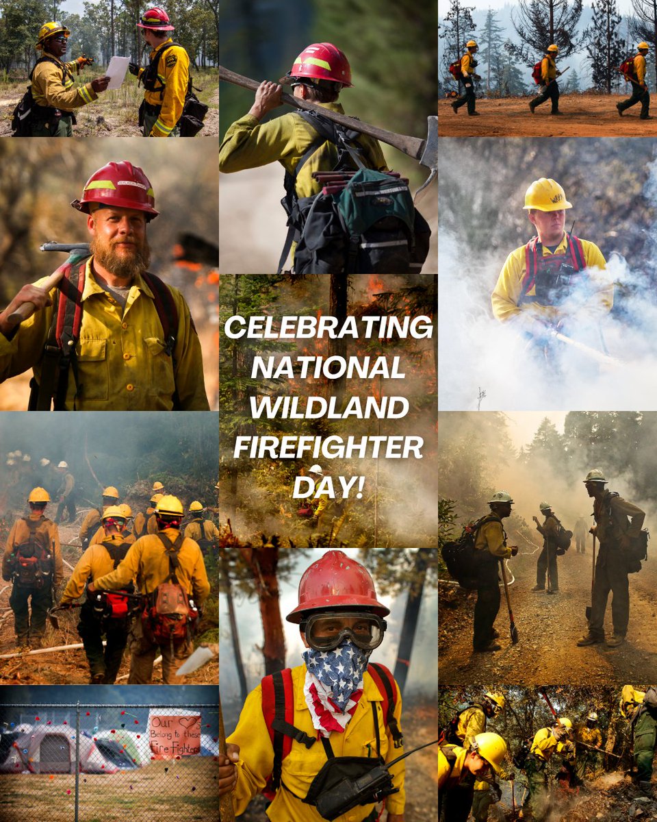 StateForesters's tweet image. Today is National Wildland Firefighter Day! Thank you to all the hardworking wildland firefighters and support personnel that protect our natural resources, care for the environment, and keep communities safe. #ItTakesAllOfUs