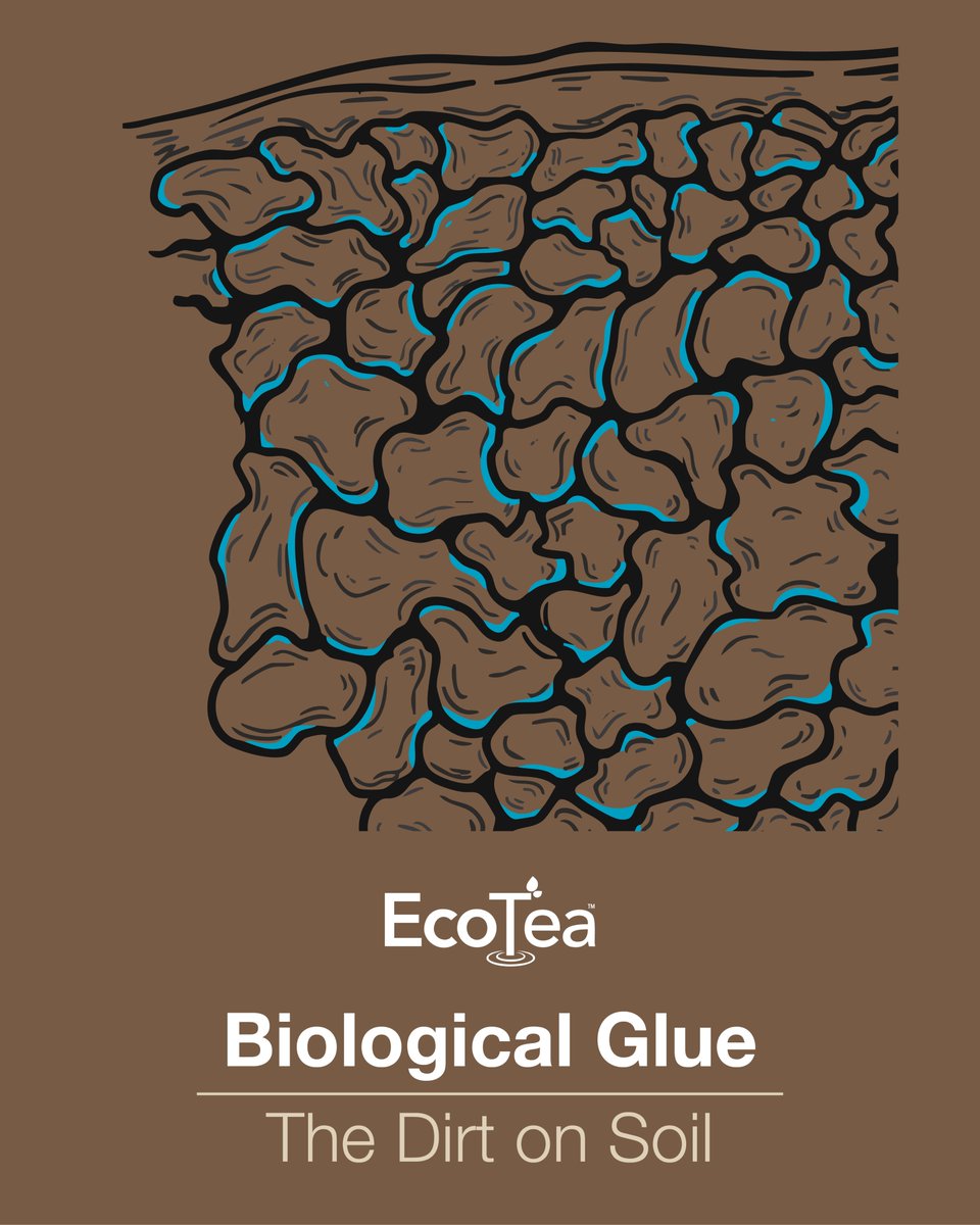 Biology. The glue that holds it all together.  Good quality soil has a high level of aggregation which is built using biological glue that certain species of bacteria and fungi release into the rhizosphere.  These binders help create more pockets of air and moisture for you