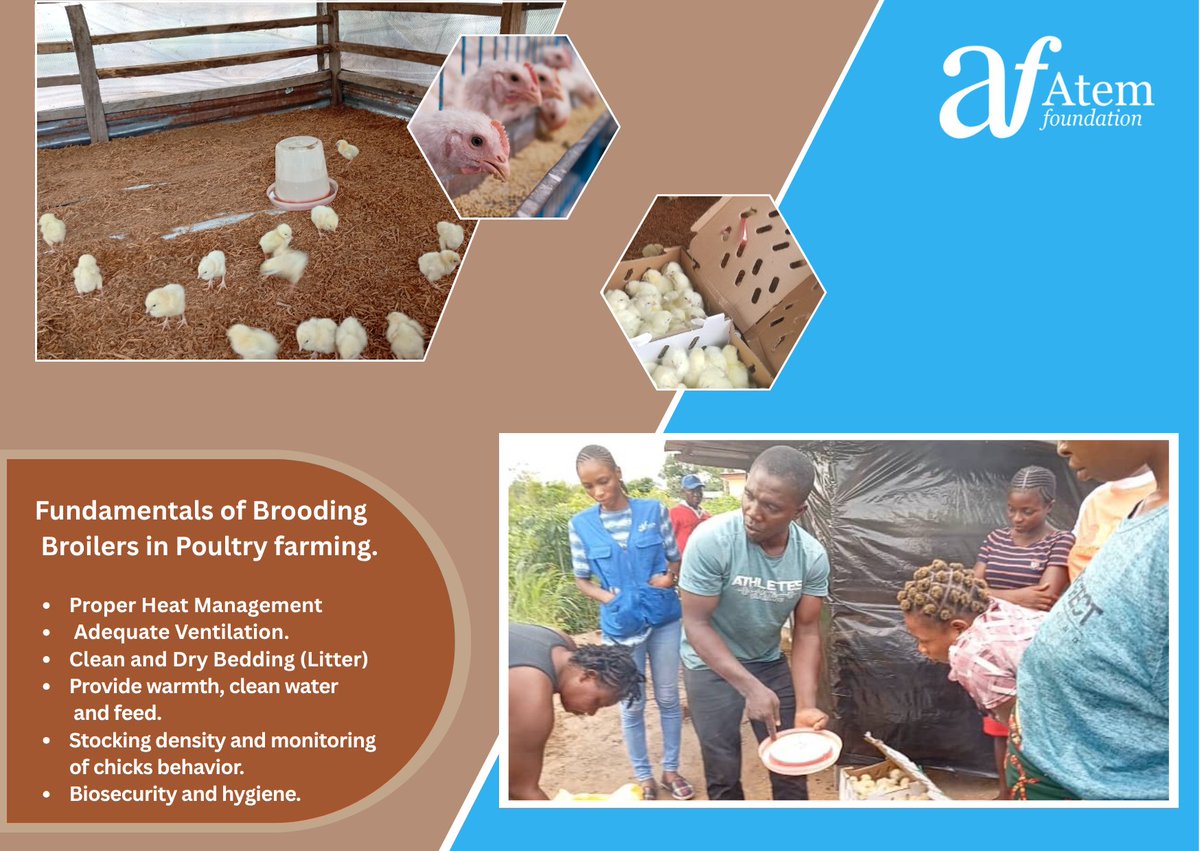 The Atem Foundation tweet media