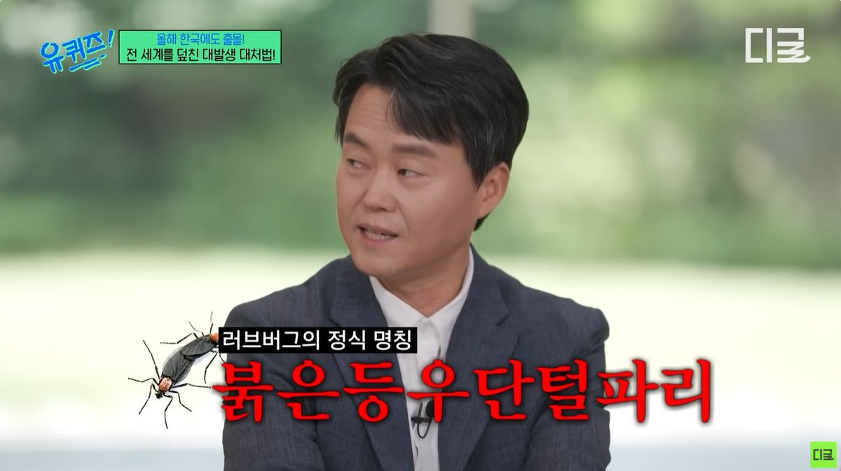 개딸 이제 식상한데 털파리 가나요?
동의하시는 분만 알티
